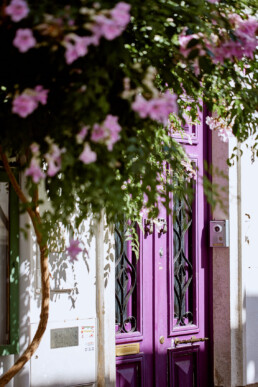 purple front door and purple flowers hanging from wall